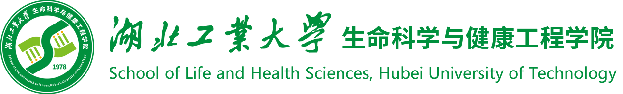 365集团